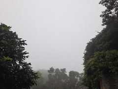 -海南铜鼓岭景区