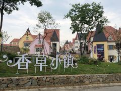-大塘金香草谷