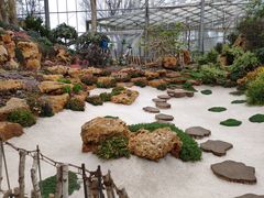 -南通洲际绿博园