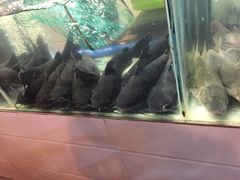 -湄公河秘制烤鱼(西双十贰城商业中心店)