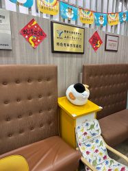 -睿宝儿科·眼科·口腔(静安大悦城门诊部)