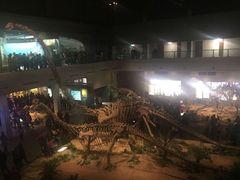 -自贡恐龙博物馆