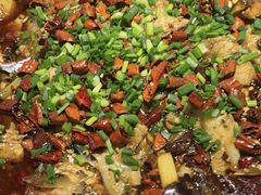 -新概念来凤鱼(璧山店)