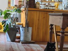 -春风十里咖啡馆