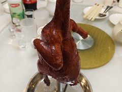 -朱仔记食府(江南大道店)