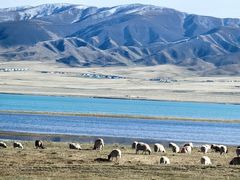-青海湖国家重点风景名胜区