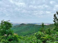 -北京西山国家森林公园