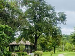 -河源御临门度假村温泉