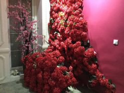 -戛纳印象摄影(潮拍定制馆)