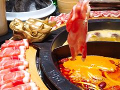 -蜀大侠火锅(森兰花园城店)