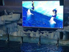 -福州罗源湾海洋世界旅游区