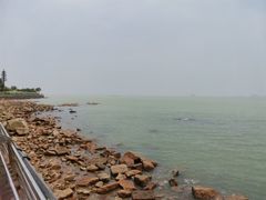 -野狸岛