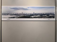 -金陵图书馆