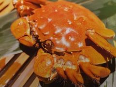 -成隆行·蟹王府(九江路店)