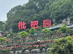-枇杷园食为鲜火锅(南山店)