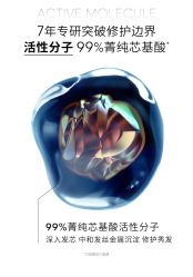 -YESIDO椰岛造型