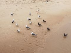 -海驴岛(荣成市)