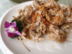 -大东海海鲜酒楼(渔人码头总店)