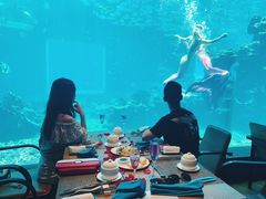 -海棠湾洲际-涛·海底餐厅·美人鱼·自助餐·海底隧道