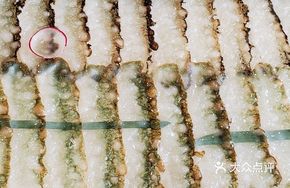 Dalian Zhangzidao Sea Cucumber Sliced Thin