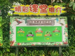 -广州长隆飞鸟乐园