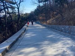 -北京西山国家森林公园