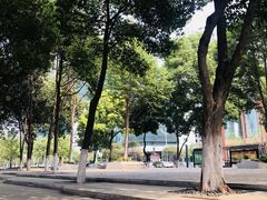 -西北湖绿化广场