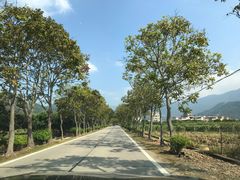 -广州市石门国家森林公园