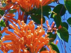 -福州大学(旗山校区)