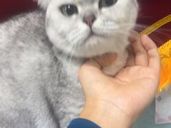 -嘉馨宠物医院·CT影像转诊·心脏科·犬猫全科诊疗中心(下沙大学城院区)