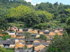 -杨家堂村