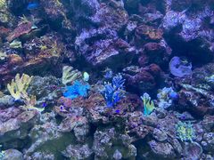 -大连老虎滩海洋公园