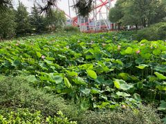 -北京欢乐谷