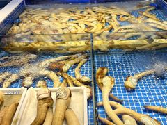 -驻海渔市(置信店)