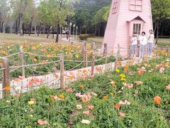 -顺峰山公园