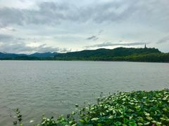 -湖畔居茶楼(湖滨店)