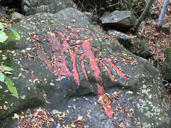 -藏龙百瀑风景区