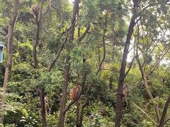 -黔灵山公园