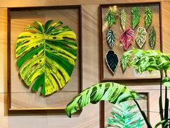 -棕榈岛海鲜自助餐厅(虹桥迎宾馆店)