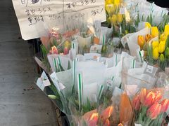 -循礼门鲜花花市(武汉循礼门店)