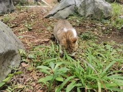 -华南国家植物园-售票处