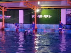 -三亚海昌梦幻海洋不夜城