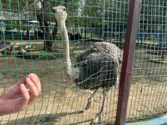 -武汉紫薇都市田园