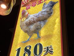 -顺德公广东猪肚鸡·煲仔饭(白石洲店)