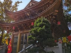 -上海东林寺(金山区)
