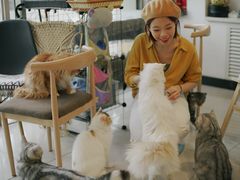 -平行世界·猫咖(首经贸店)