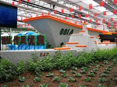 -兰陵国家农业公园