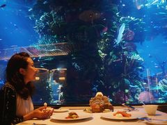 -迪拜帆船酒店海底餐厅