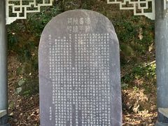 -羚羊峡古栈道森林公园