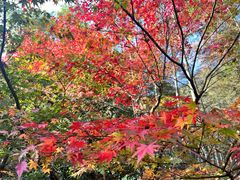 -西湖风景区十里琅珰-五云山